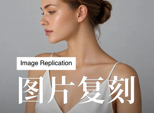 图片复刻-可生成模特